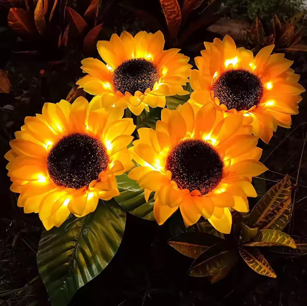 Solar Flowers