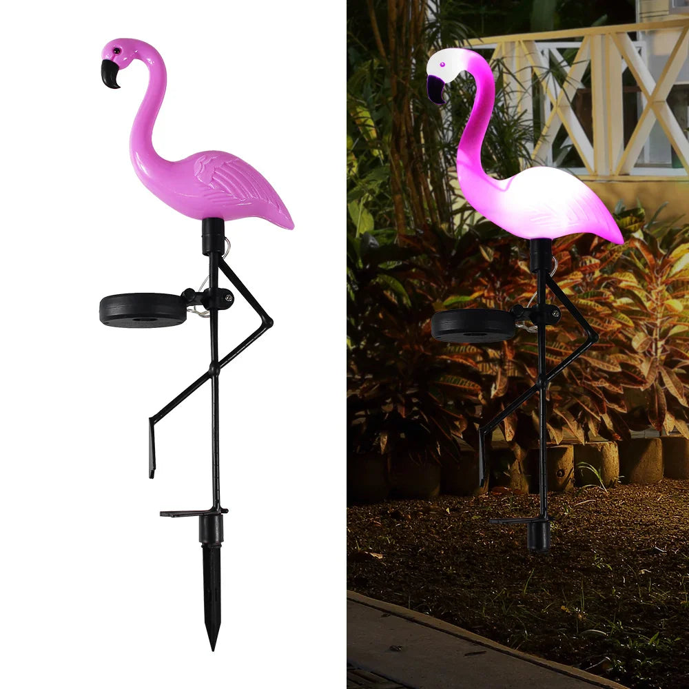 Solar Pink Flamingos