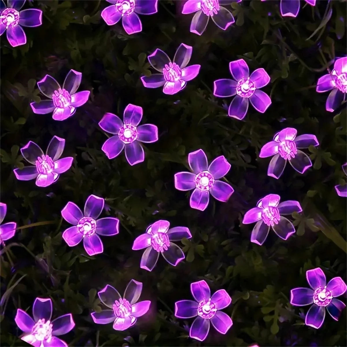 Auntie Glowria Solar Lighting 5/6.5/7/12M Purple Solar Flower String Lights | Eco-friendly Fairy LED Lights for Home Garden, Holiday Ambient Plant Lighting    ```